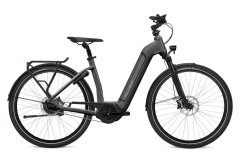 E-Trekking-/Citybikes