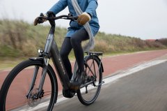 E-Trekking-/Citybikes