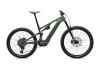 Specialized Turbo Levo 4 Expert GLOSS CYPRESS METALLIC / SILVER DUST S5
