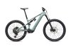 Specialized Levo 4 EVO Comp SATIN AGAVE GREY / DESERT METALLIC S4