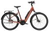 Trek District+ 4 Lowstep L Pennyflake 725WH